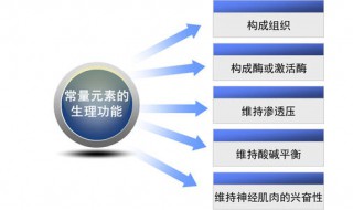 各种矿物质作用一览 各种矿物质作用分析盘点