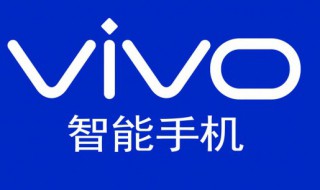 vivo应用商店下载的安装包在哪个文件夹 安装包位置