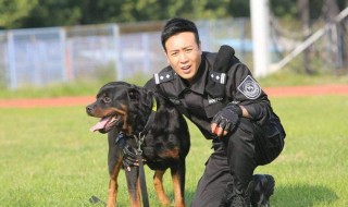 警花与警犬2在哪能看 电视剧内容介绍