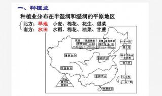 北方地区的种植业类型 你知道吗