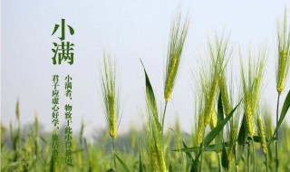 小满吃什么传统食物 小满节气食物