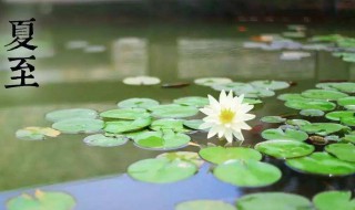 夏至有什么风俗 夏至风俗盘点