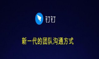 钉钉新手体验群别人能看见吗 钉钉是什么来的