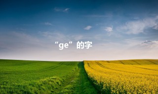 ge的汉字 取其一列出包含该字的成语