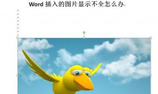 word图片显示不全只有一半怎么办 教你如何正确解决