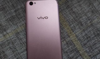 vivox9和vivox9plus手机壳通用吗 vivox9能用plus手机壳吗