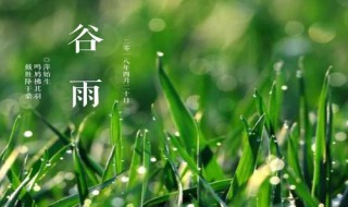 雨水和谷雨有什么不同 一起看看吧