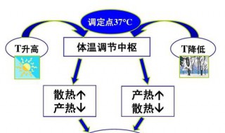 举例说明控制中的反馈措施 什么是反馈措施