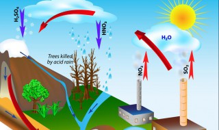 酸雨产生的原因 我国酸雨的主因是什么