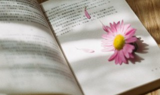 《盛世梨花殿》小说名字叫什么 《盛世梨花殿》的简介