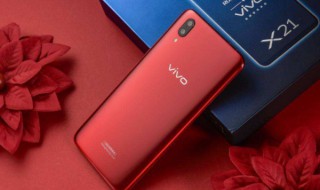 vivox21a数据线型号 vivox21a数据线型号是什么