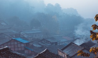 沙湖晚归的意象是什么 沙湖晚归的作者是谁