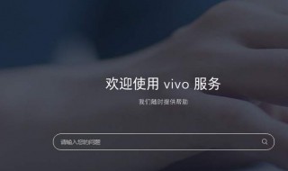 vivo主题怎么没有搜索 vivox6手机自带的主题软件为什么不能搜索主题