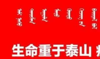 支付宝的湖北健康码有什么用 支付宝的湖北健康码的用法盘点