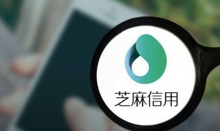 支付宝正常使用芝麻分不涨 正常使用芝麻分不涨的原因是什么