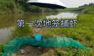 地笼捕虾技巧 这样做捕到的虾又大又多