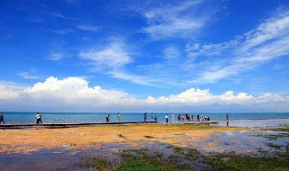 青海是哪个省 青海的位置在哪个省