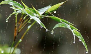 关于雨的诗 有哪些关于雨的诗