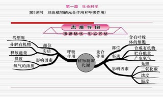 植物呼吸作用与什么因素有关 呼吸作用的重要生理意义是什么