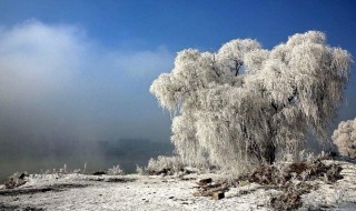 关于雪的古诗 关于雪的古诗列述