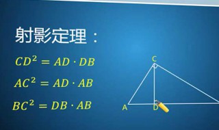 射影定理 是由谁提出的