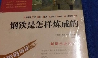 钢铁是怎样炼成的读后感200字 钢铁是怎样炼成的读后感200字左右