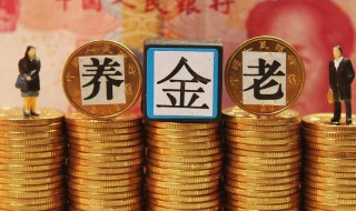 什么叫基本养老金 基本养老金的概念