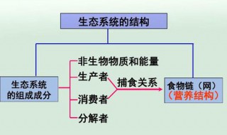 生态系统的结构是什么 生态系统的结构简介