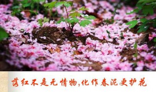 落红不是无情物化作春泥更护花赏析 赏析这首古诗