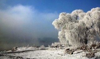 岁末将至敬颂冬绥什么意思 岁末将至敬颂冬绥意思简述