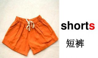 短裤用英语怎么说 短裤的英语