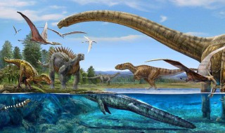 最大的恐龙 最大的恐龙的介绍