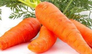 carrot的复数形式什么 详细说一下