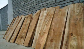 木板用什么木料 木材有什么特点