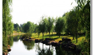 上海滨江森林公园好玩吗 这里有什么特点