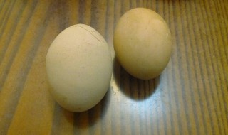 三月三吃鸡蛋是哪的习俗 荠菜煮鸡蛋介绍