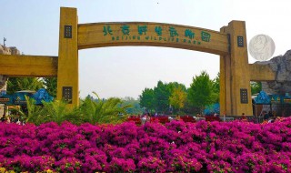 北京野生动物园地址 占地面积有多大