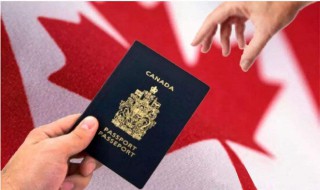 在加拿大找到工作后就可以申请移民了吗 加拿大申请移民条件介绍