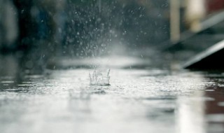 下雨前的预兆 下雨前的预兆有什么