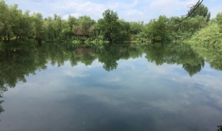 西溪湿地一日游 杭州西溪湿地一日游攻略