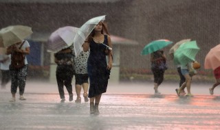 台风有什么天气特征 台风天气特征简述