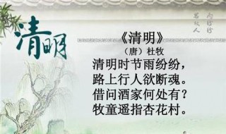 清明节的作文250字 清明节的作文250字三篇