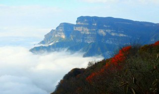 光雾山旅游攻略 光雾山旅游攻略介绍