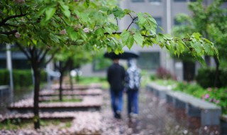 细雨湿衣看不见原文 细雨湿衣看不见原文及翻译