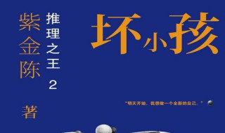 紫金陈坏小孩 这本书讲了个什么故事