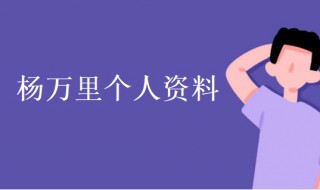 杨万里简介 杨万里个人资料