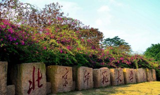 珠海有哪些大学 那几所大学在珠海