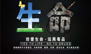 禁毒语句 禁毒名言警句