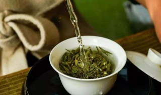 孕妇可以喝绿茶吗 孕妇可不以喝绿茶