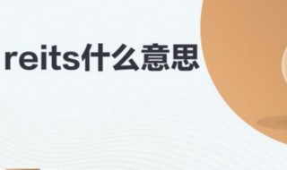 reits什么意思 reits的解释及读音